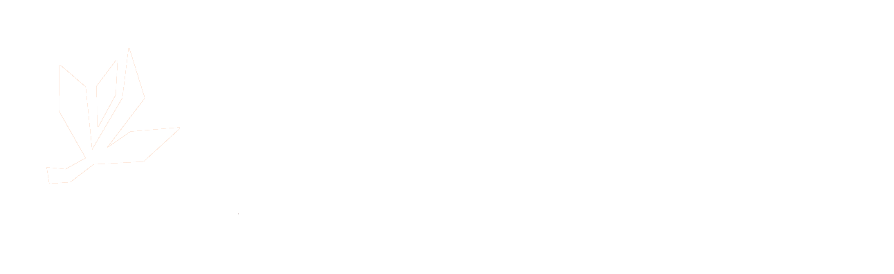 Kofola